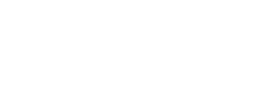 d wells electrical & property services logo upscaled white